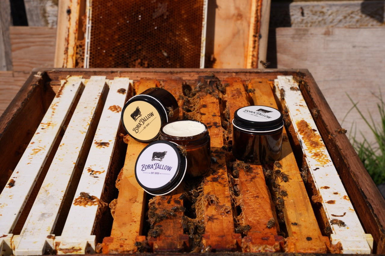 Orange Vanilla - Tallow Cream